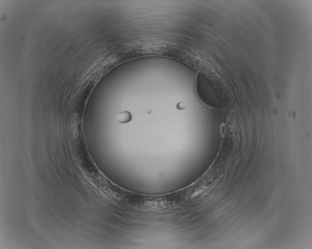 X0000071800744200607211646