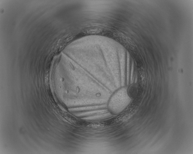 X0000071800745200607211646