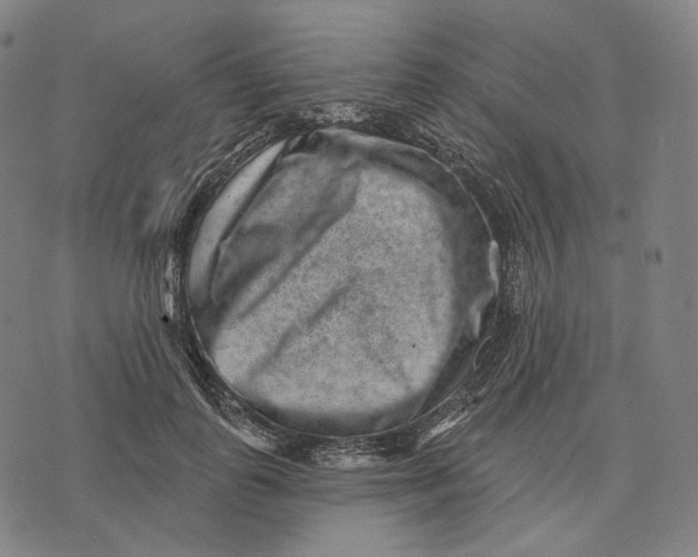 X0000071800747200607211646