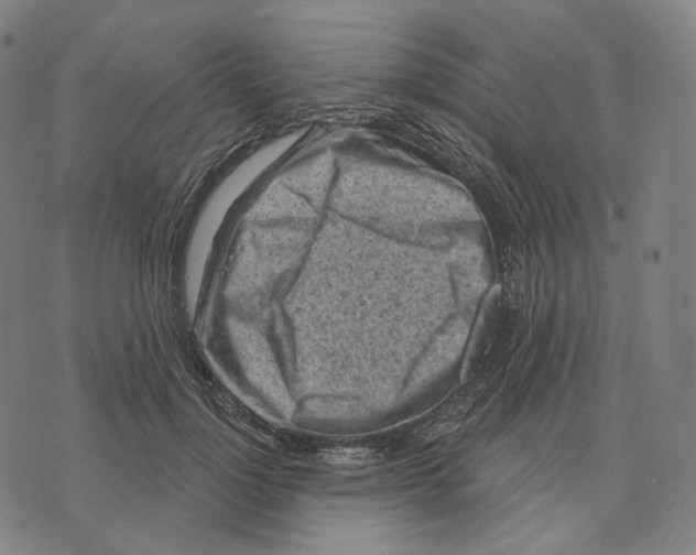 X0000071800748200607211646