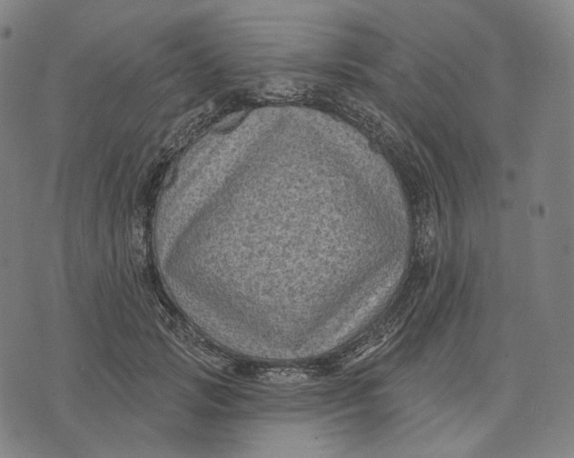 X0000071800749200607211646