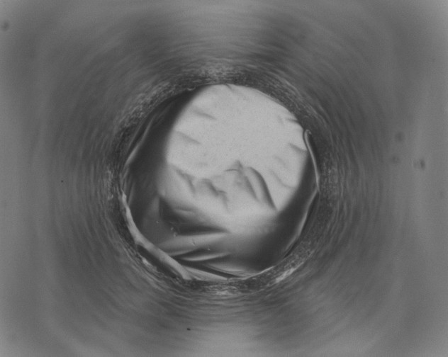 X0000071800750200607211646