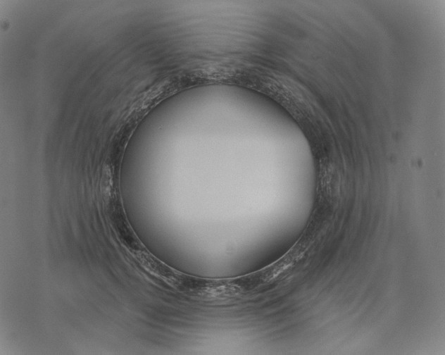 X0000071800752200607211646