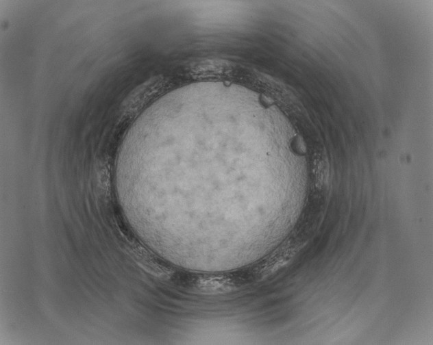 X0000071800753200607211646