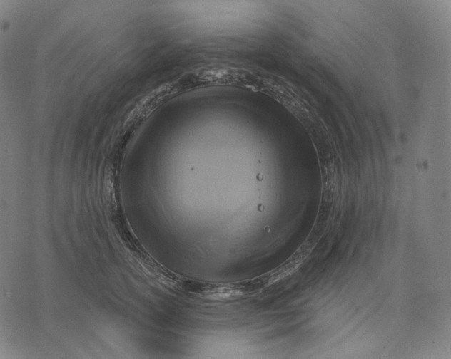 X0000071800754200607211646