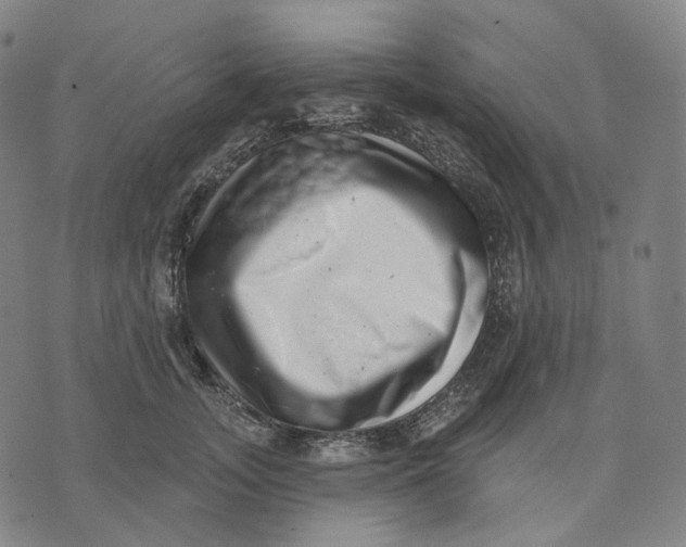 X0000071800755200607211646