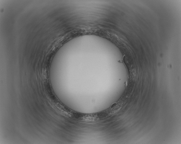 X0000071800756200607211647