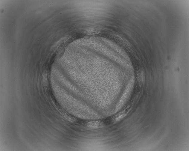 X0000071800757200607211647