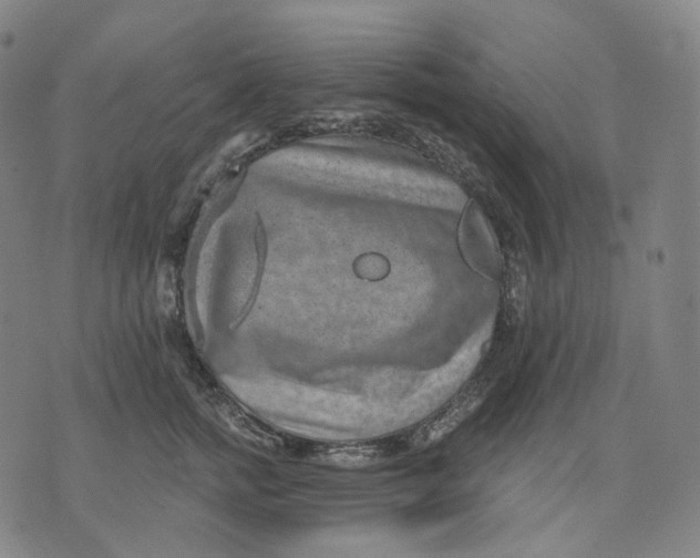 X0000071800758200607211647