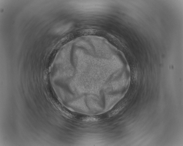 X0000071800759200607211647