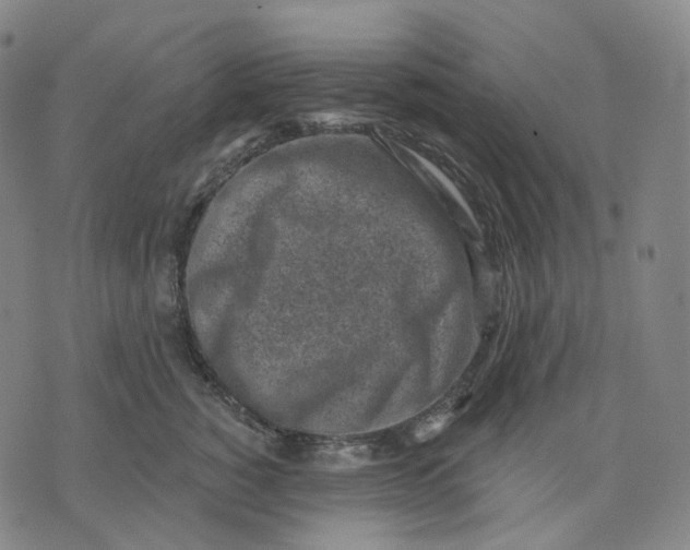 X0000071800760200607211647