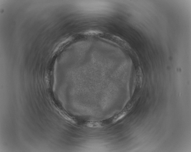 X0000071800762200607211647