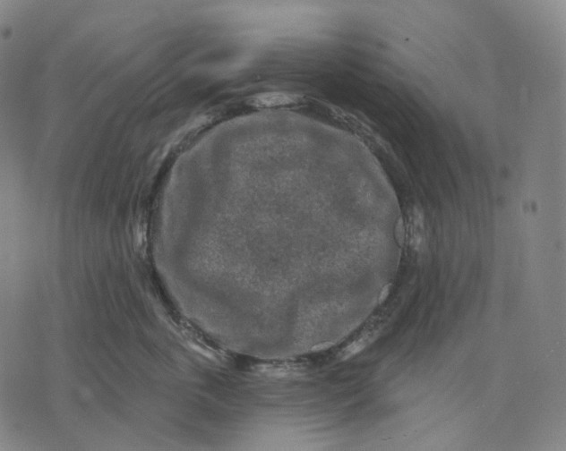 X0000071800763200607211647