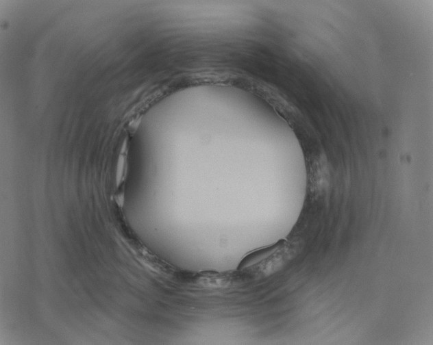 X0000071800764200607211647