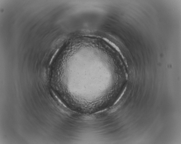 X0000071800765200607211647