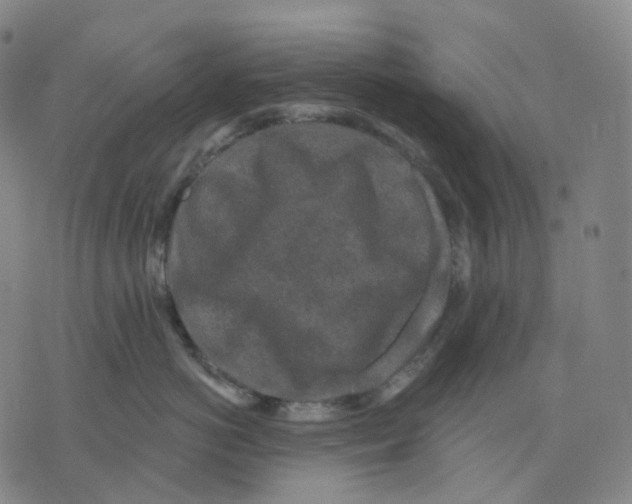 X0000071800766200607211647