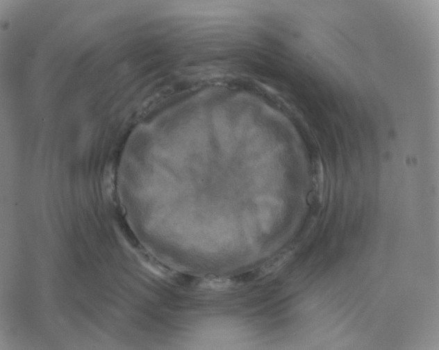 X0000071800767200607211647