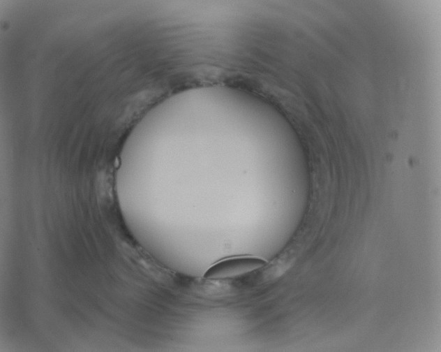 X0000071800768200607211647