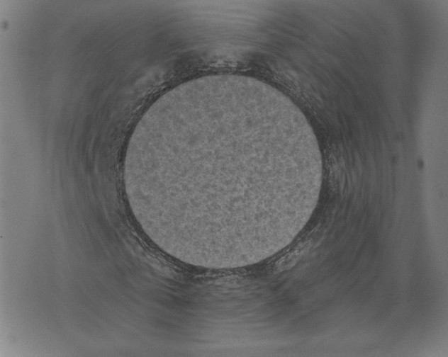 X0000071800769200607211646