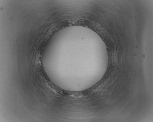 X0000071800770200607211646