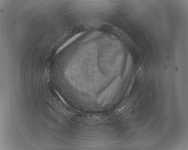 X0000071800772200607211646