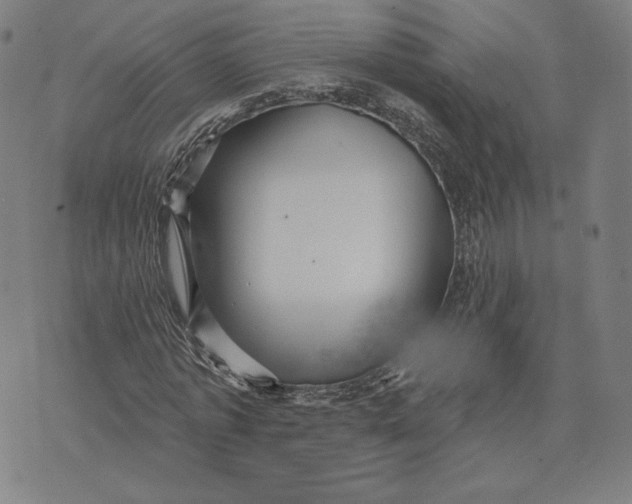 X0000071800773200607211646