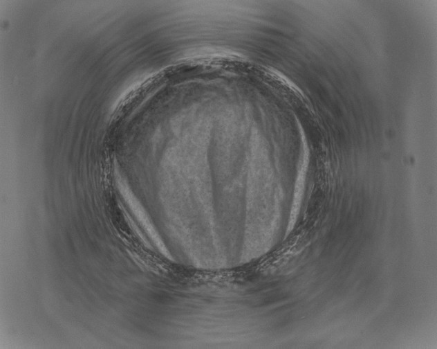 X0000071800775200607211646