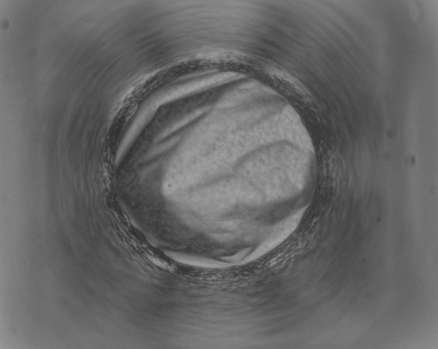 X0000071800776200607211646