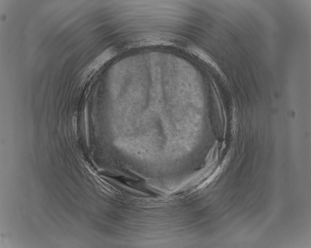 X0000071800777200607211646