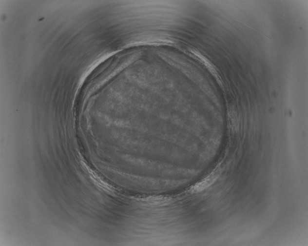 X0000071800779200607211646