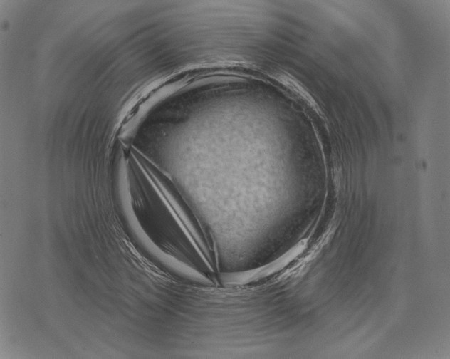 X0000071800781200607211646