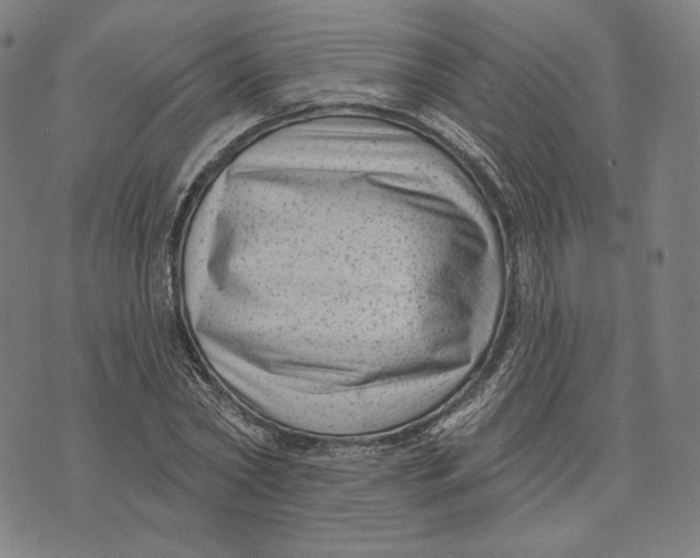 X0000071800782200607211646