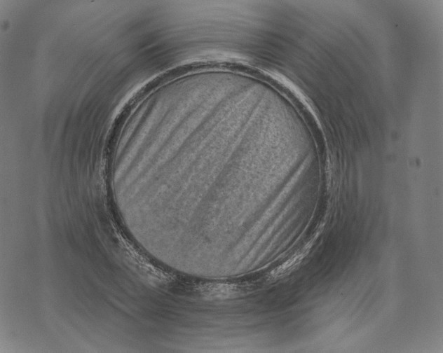 X0000071800783200607211646