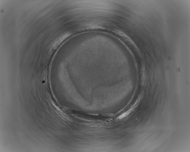 X0000071800785200607211646