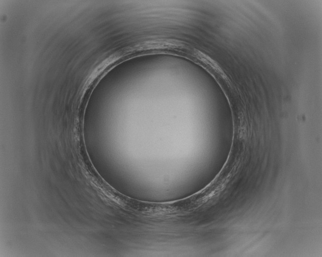 X0000071800786200607211646