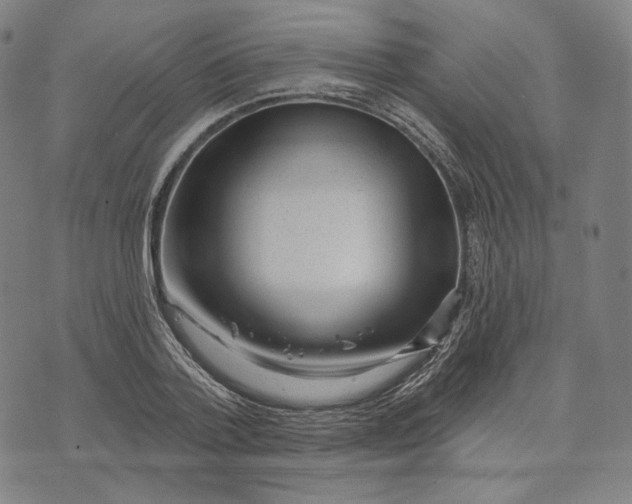 X0000071800788200607211646