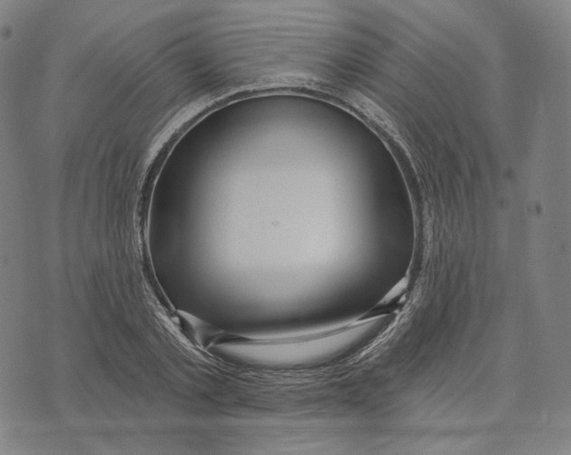 X0000071800789200607211646