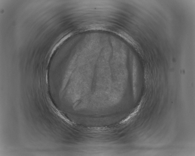 X0000071800790200607211646