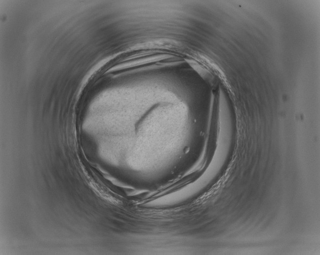 X0000071800792200607211646