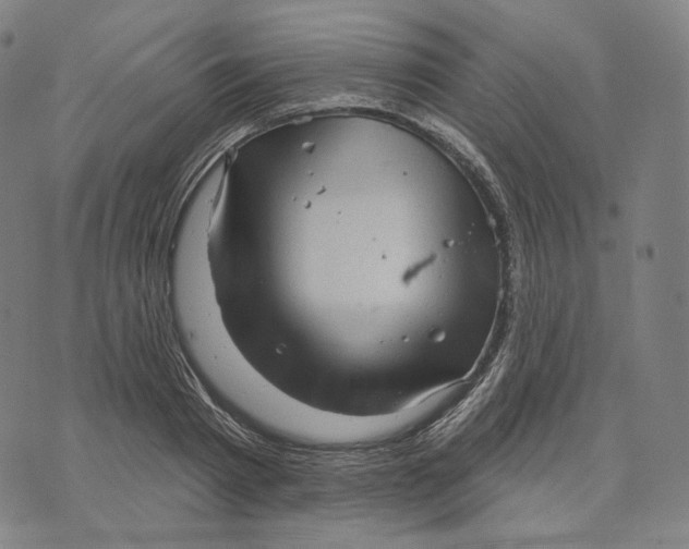 X0000071800793200607211646