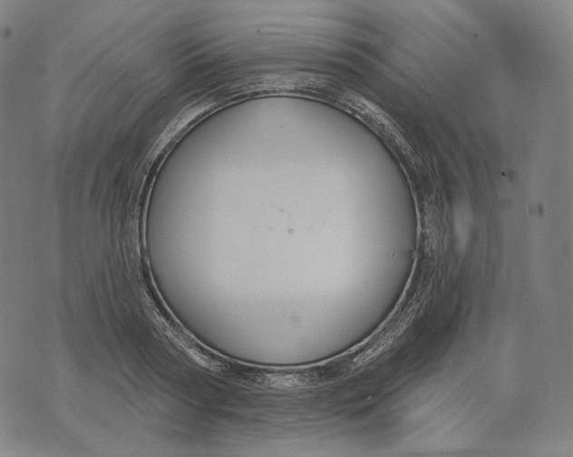 X0000071800794200607211646