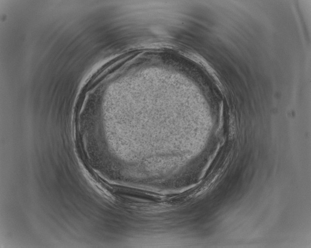 X0000071800795200607211646