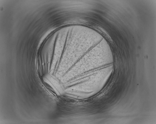 X0000071800796200607211645