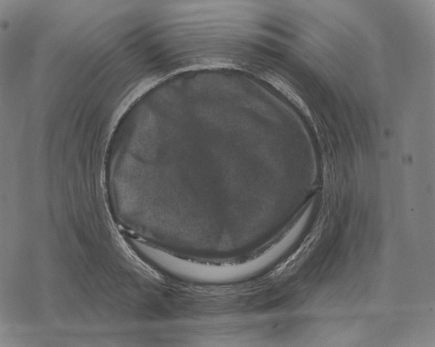 X0000071800797200607211645