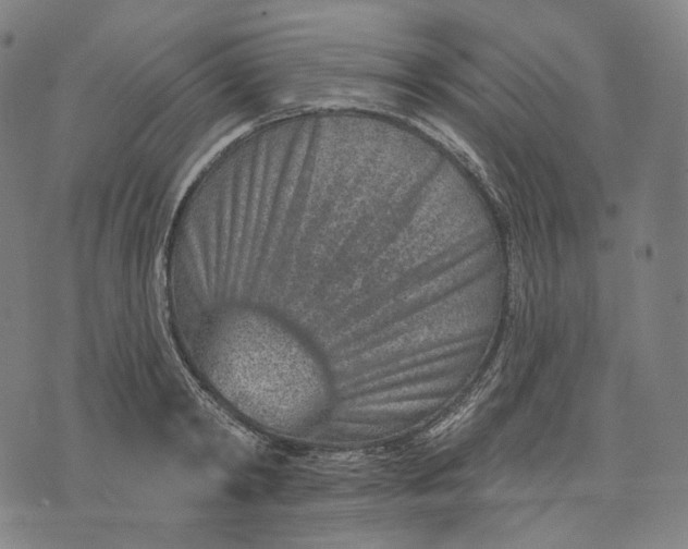 X0000071800798200607211645