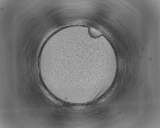 X0000071800800200607211645