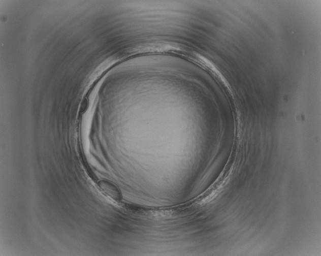 X0000071800802200607211645