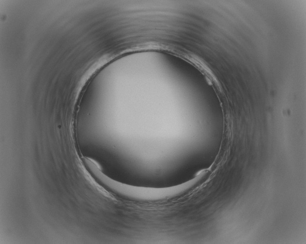 X0000071800805200607211645