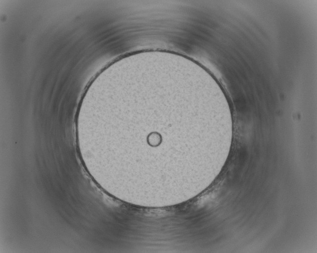 X0000071800807200607211645