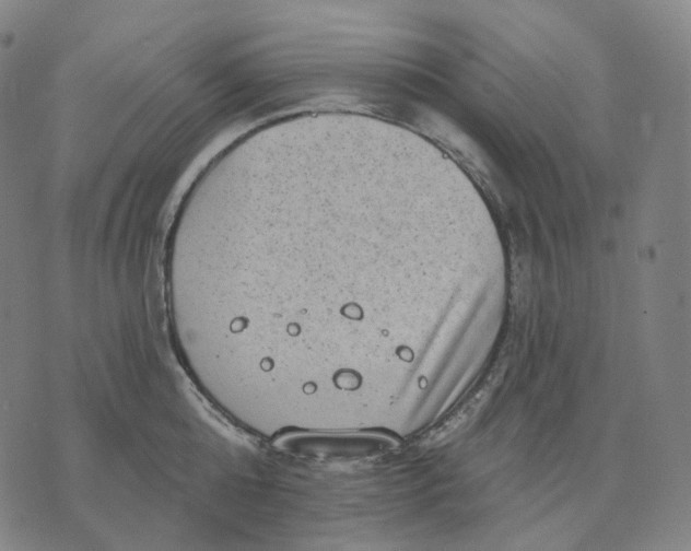 X0000071800808200607211645